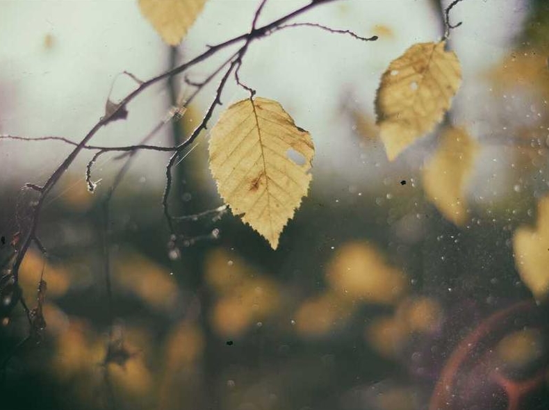 快连VPN全局模式是什么？一篇彻底搞懂全局、智能模式的区别与选择